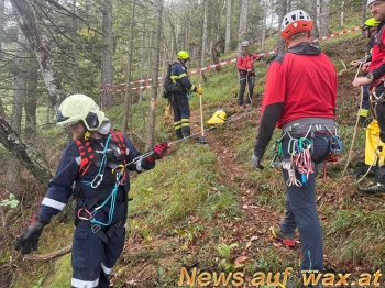 wax.at News