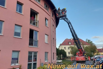 wax.at News