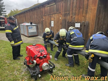 wax.at News