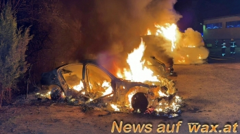 wax.at News