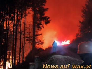 wax.at News