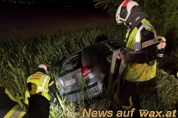 wax.at News