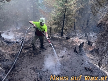 wax.at News
