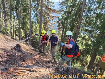 wax.at News