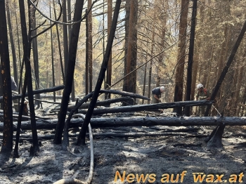 wax.at News