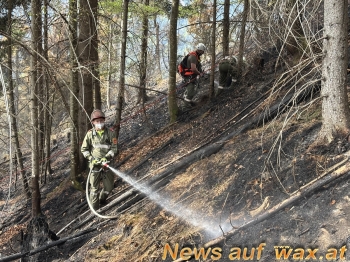 wax.at News