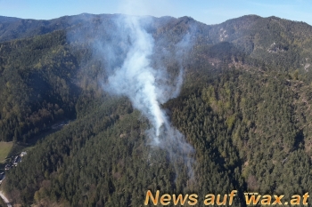 wax.at News