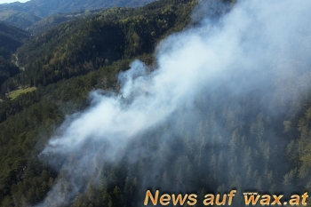 wax.at News
