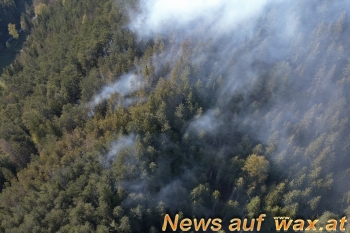 wax.at News