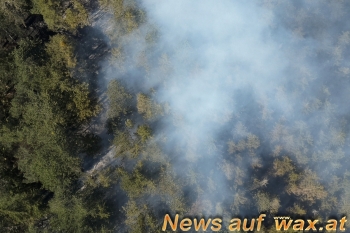 wax.at News