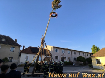 wax.at News