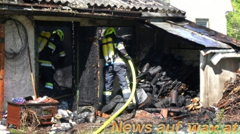 wax.at News
