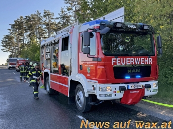 wax.at News