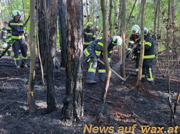 wax.at News