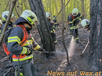 wax.at News