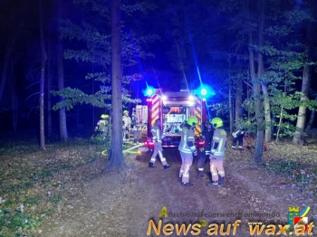 wax.at News
