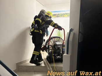 wax.at News