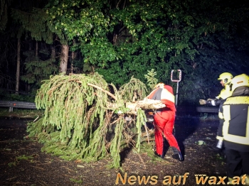 wax.at News