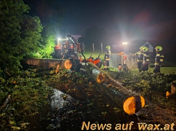wax.at News