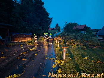 wax.at News