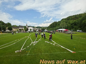 wax.at News