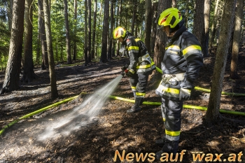 wax.at News