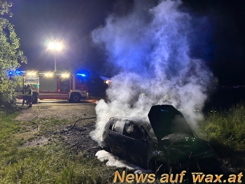 wax.at News
