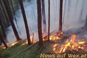 wax.at News