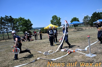 wax.at News