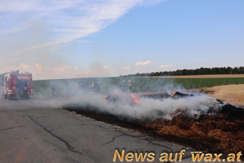 wax.at News