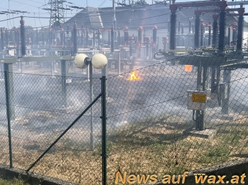 wax.at News