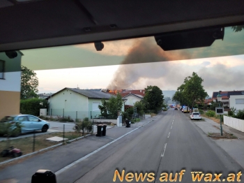 wax.at News