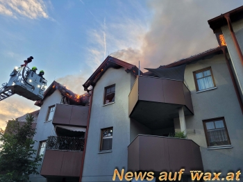 wax.at News