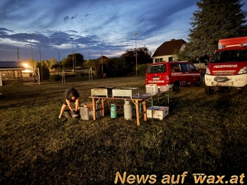 wax.at News