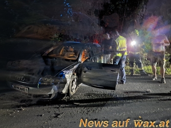 wax.at News