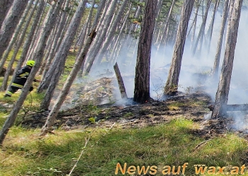 wax.at News