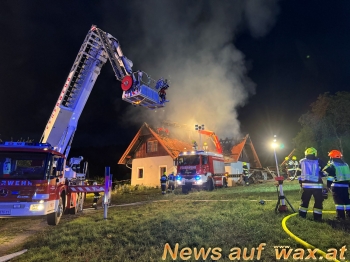 wax.at News
