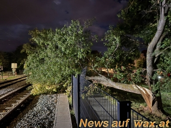 wax.at News