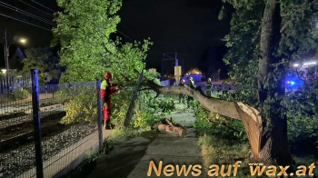 wax.at News