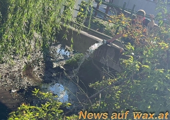 wax.at News