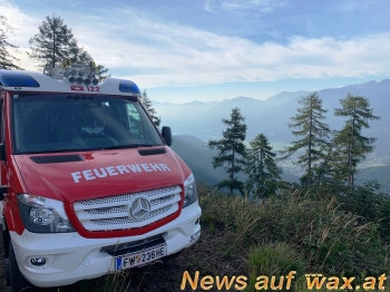 wax.at News
