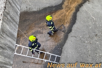wax.at News