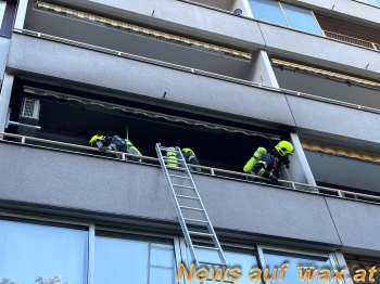 wax.at News