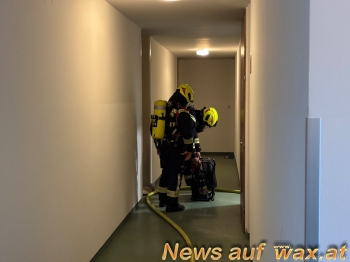 wax.at News