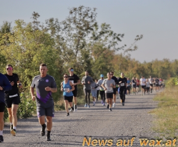 wax.at News