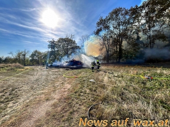 wax.at News