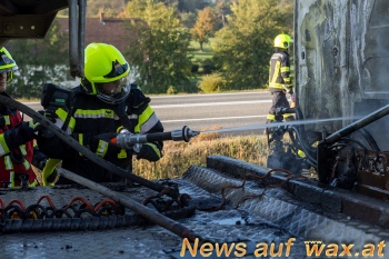 wax.at News