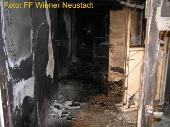 Foto: FF Wiener Neustadt