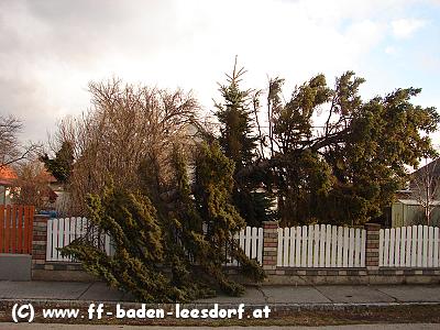 FF Baden-Leesdorf