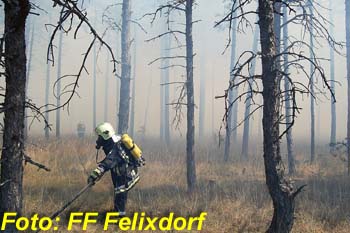 Foto: FF Felixdorf